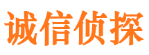 莲湖侦探公司